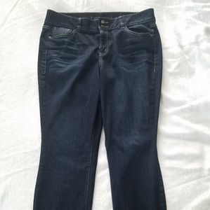 Lane Bryant High-Wasted Skinny Jeans
